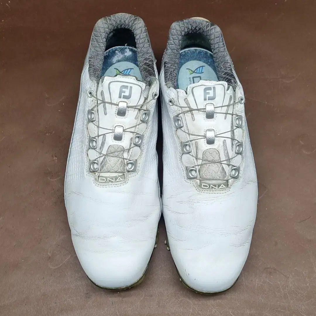 FootJoy(フットジョイ) DNA ゴルフシューズ 255 - メルカリ