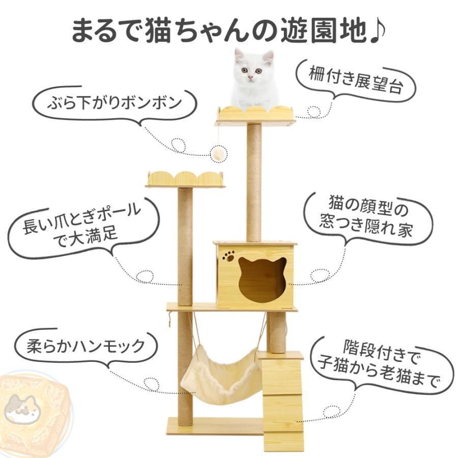 短足猫
