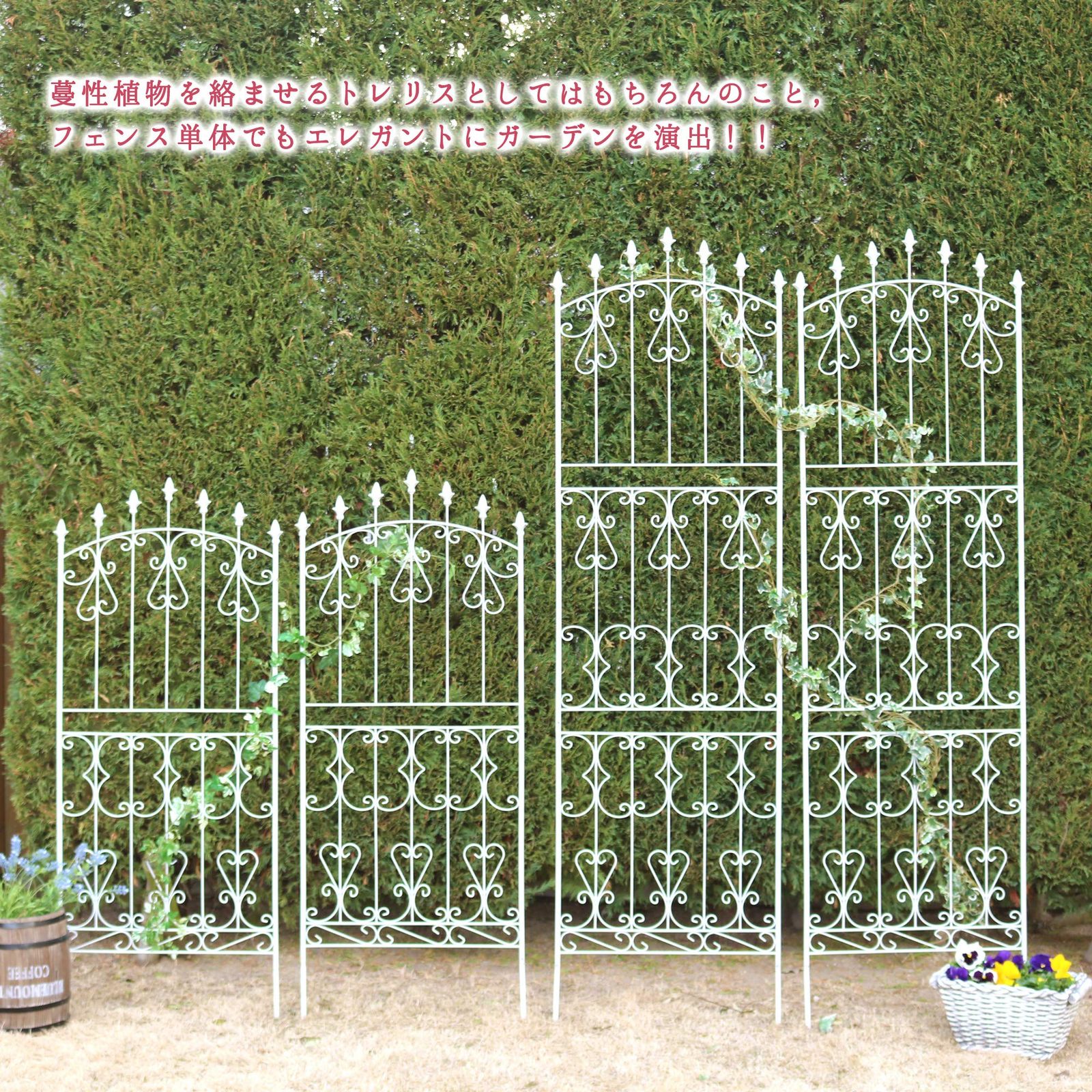 2枚セット ダークブラウン