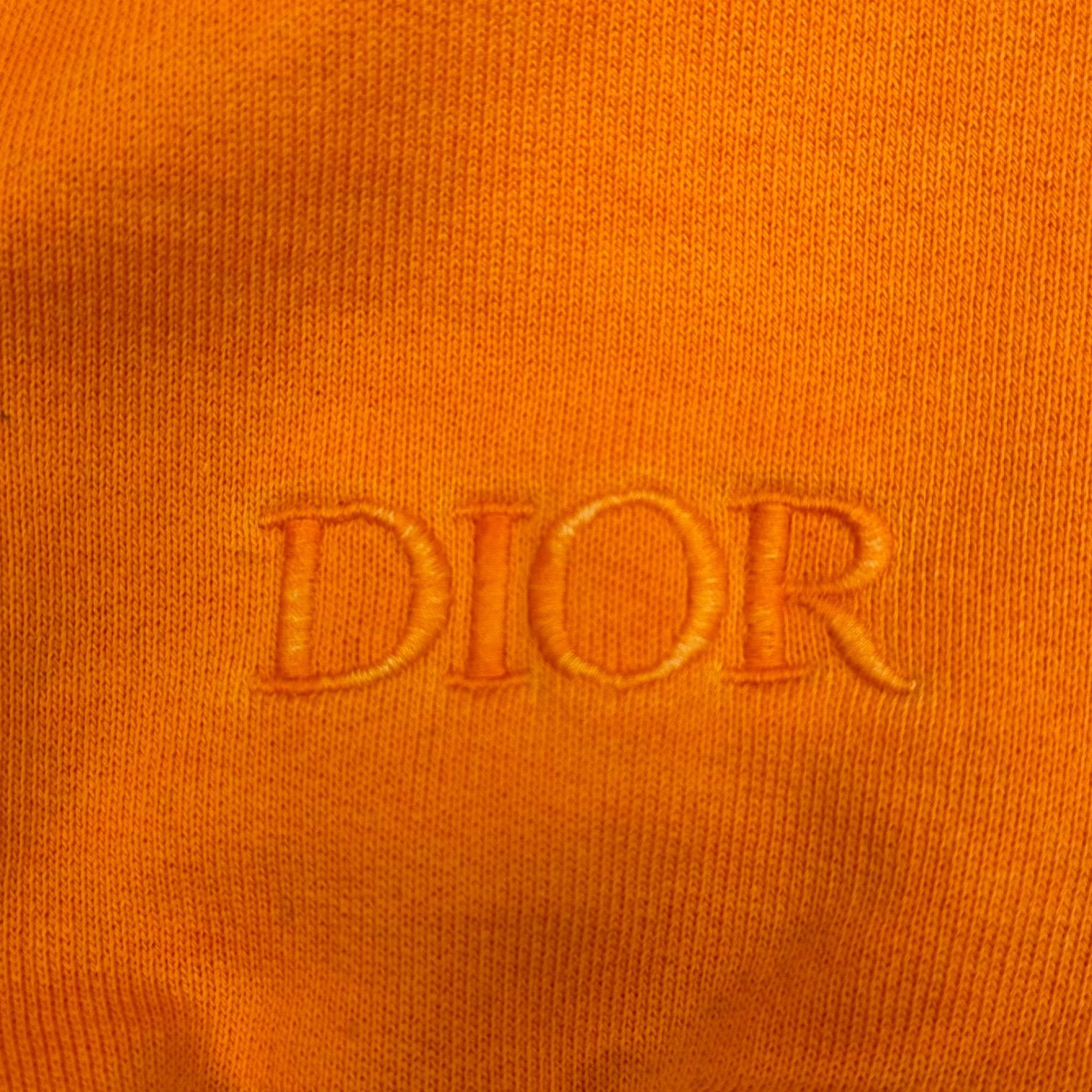 国内正規 Dior Peter Doig 21AW Crewneck Sweatshirts 143J687B0531 