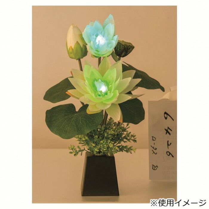 ロータス すい蓮灯 白 YMG6426 MARWIL-DEMENAGEMENTS_CH