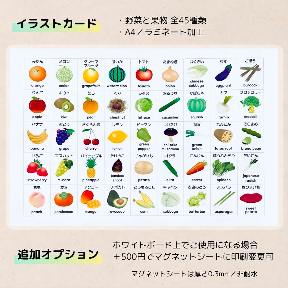 小学校受験マスター　教材セット　季節　野菜　果物　動物　生き物　昆虫　花　知育 小学校受験マスター 教材セット 季節 野菜 果物 動物 生き物