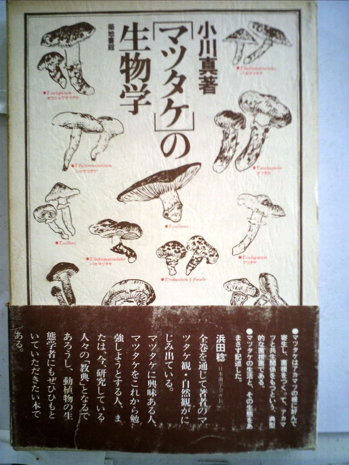 本物 マツタケの生物学 (1978年)