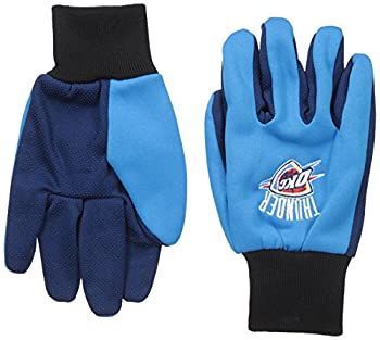 NBA Colored Palmグローブ ブルー
