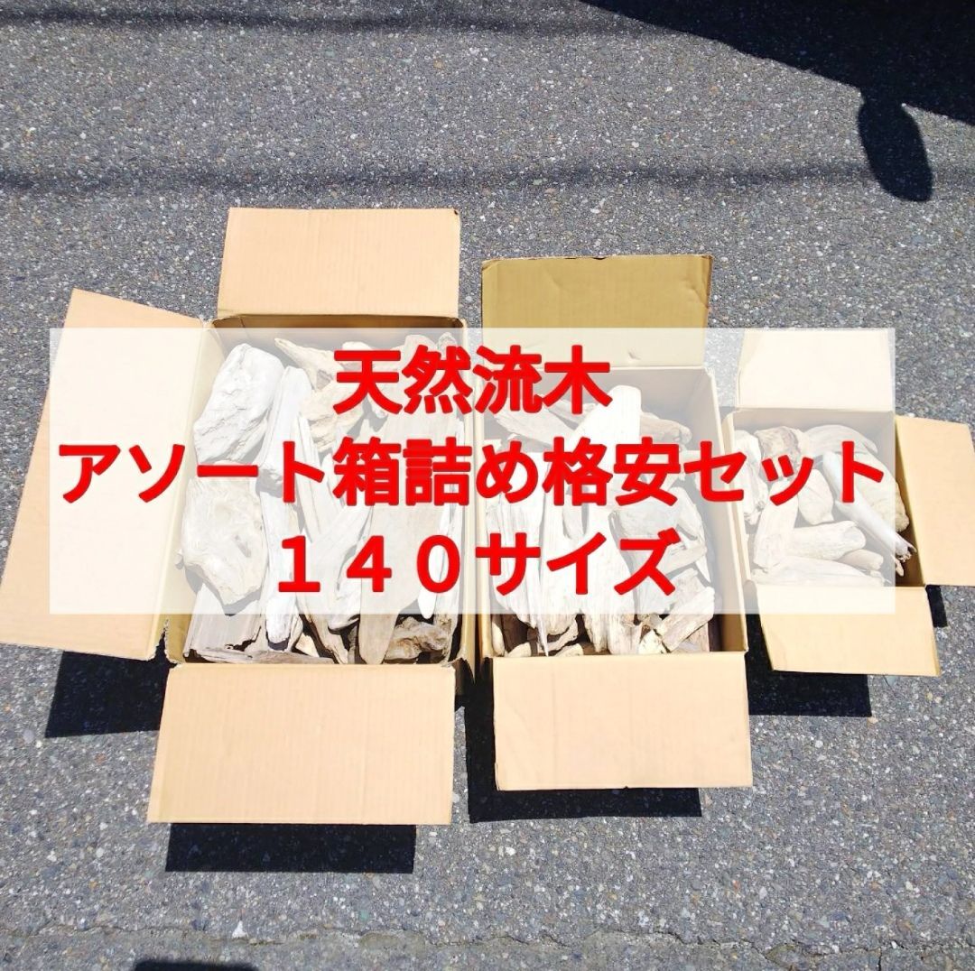 遊戯王 フロストザウルス レリーフ 英語 フロストザウルス レリーフ