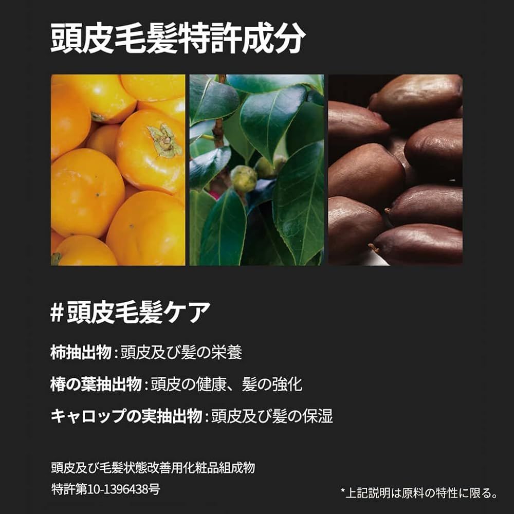 日本正規代理店品