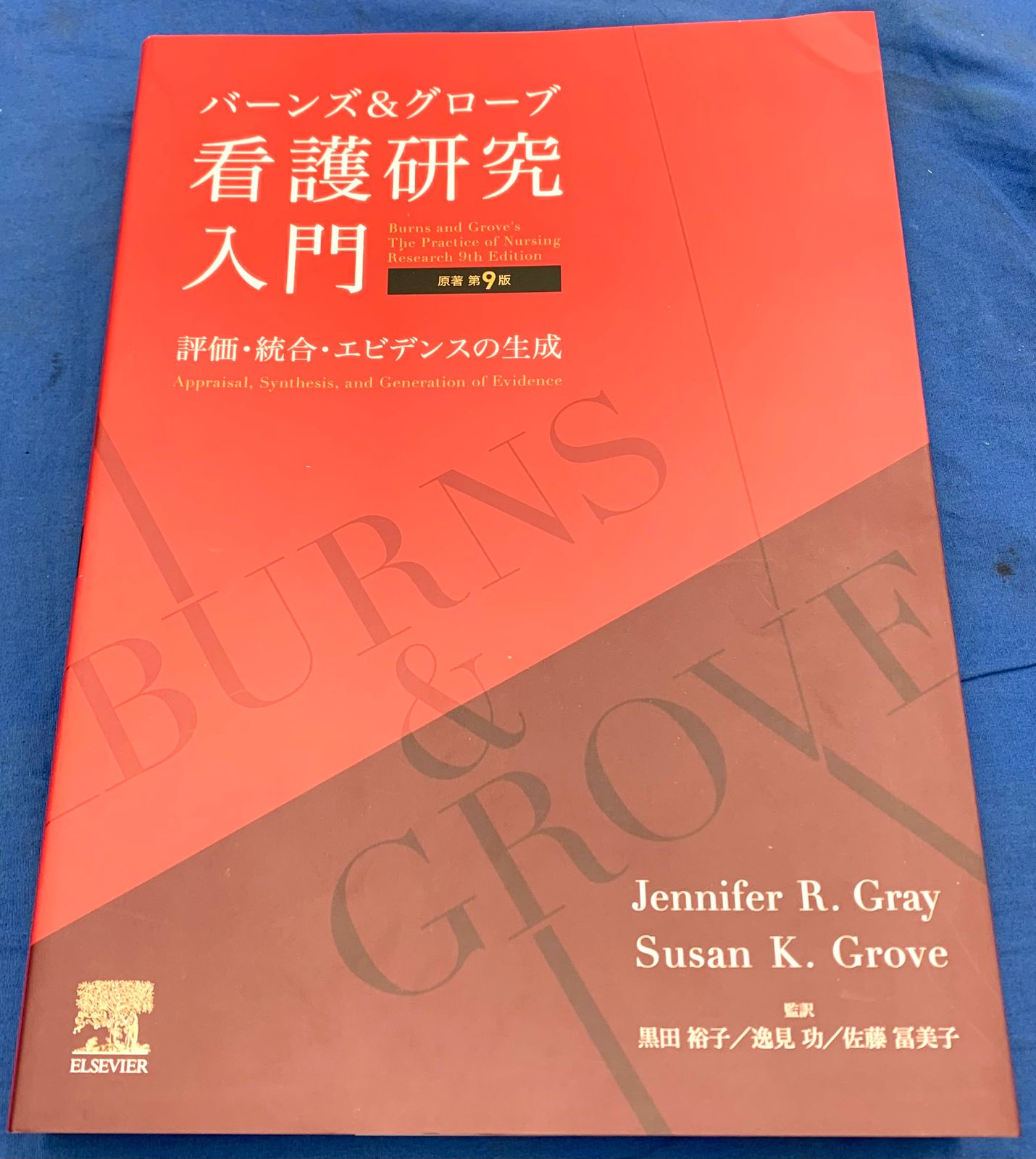 バーンズ&グローブ 看護研究入門 評価・統合・エビデンスの生成