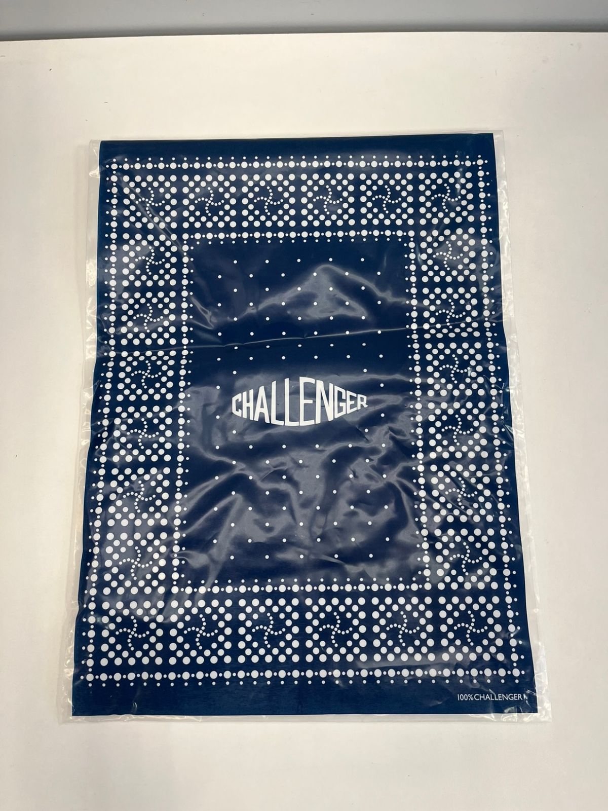 CHALLENGER SHADOW PLAID SHIRT （ネルシャツ） SHADOW PLAID SHIRT