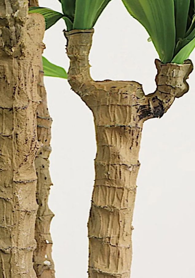 光触媒 人工観葉植物 ウォールグリーン フェイク 幸福の木 マッサン