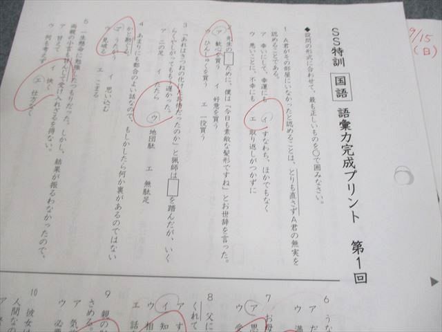 SS特訓 冬期講習 正月特訓　語彙力完成プリント　サピックス　❴非売品❵ SAPIX サピックス 小6 国語 SS特訓/冬期講習/正月特訓 語彙力