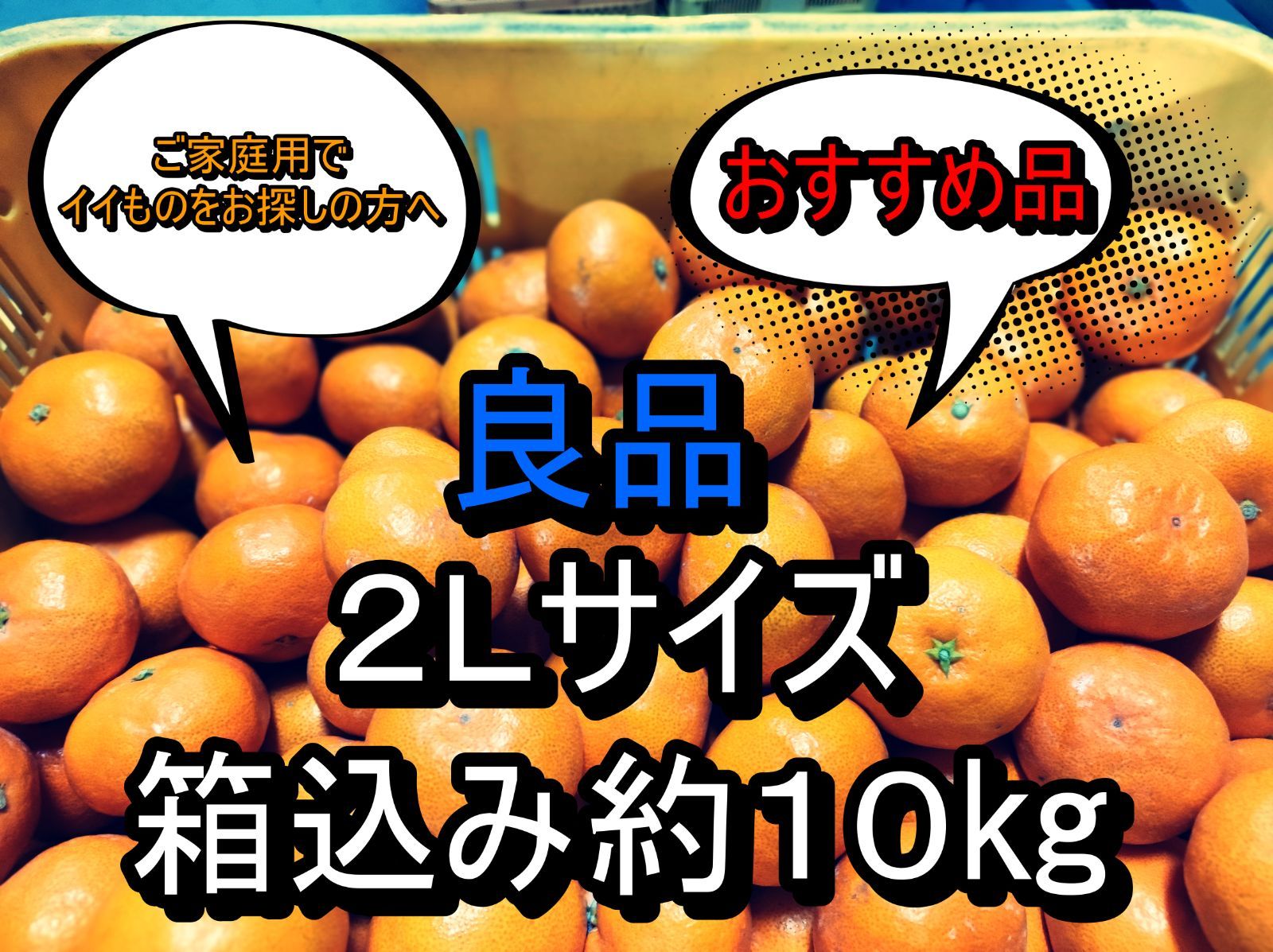 良品　箱込み約10kg　２Ｌサイズ