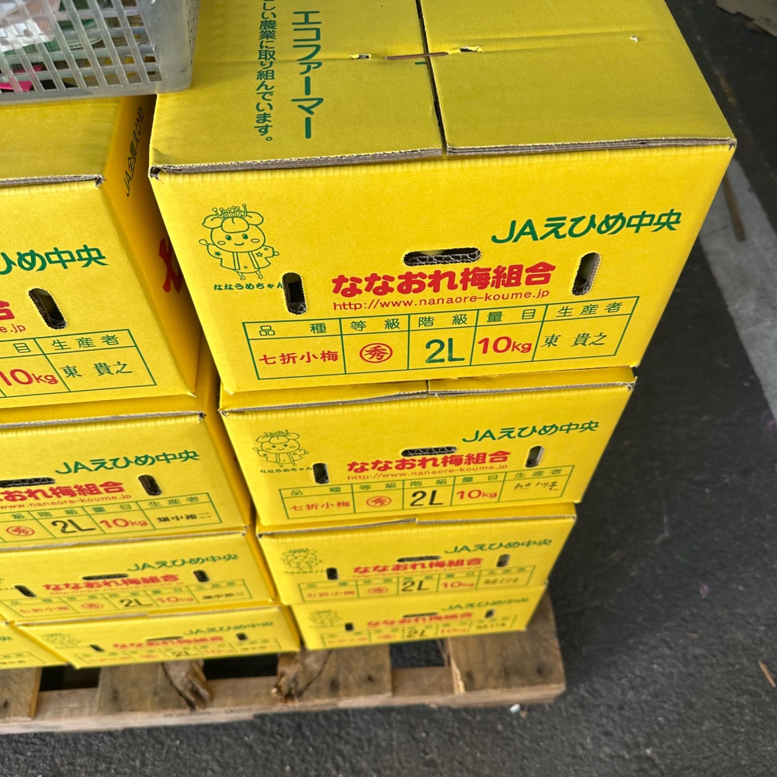 30キロ常温発送 小梅 上