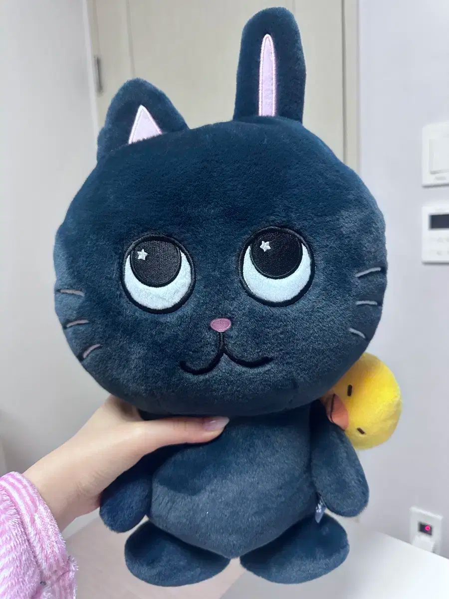 RIIZE ライズ ウォンビン WONBIN あずまんが大王 トンヤンドク 40cm 単純開封 ポーチ