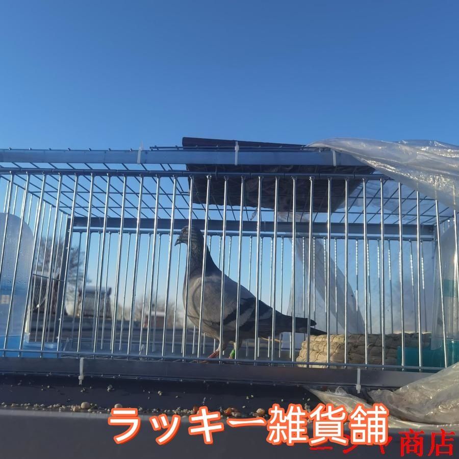 庭園 バルコニーに最適