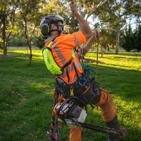 Hydration Harness