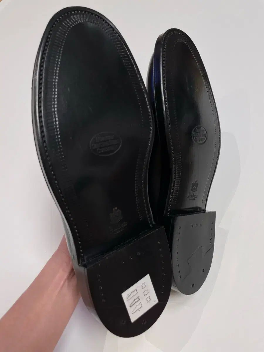 9901 7