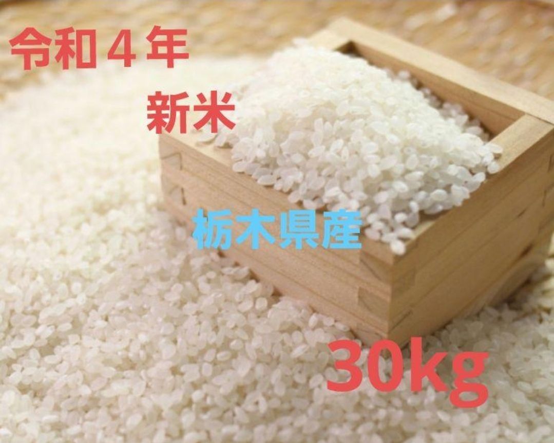 米 ミルキークイーン 小分け 送料無料 茨城県 一等米 玄米 精米無料