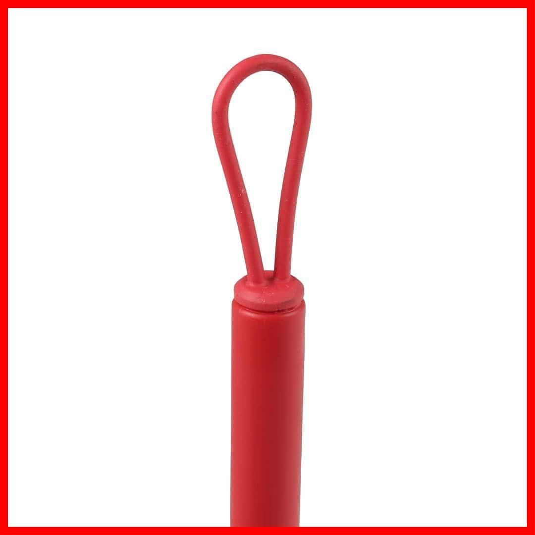 【緊急大幅値下げ！】 高さ265mm 幅210mm 掃除用品 ワイパー 水切り 奥行35mm 窓ガラス 水を切るそのきっかけに RN-054RD スクイージー ダルトン Dulton 贵重な