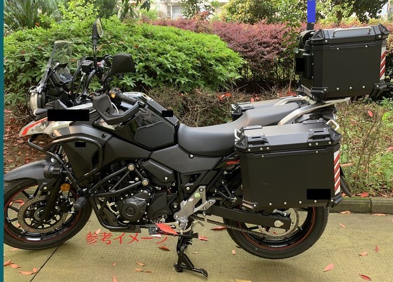 V-STROM 250