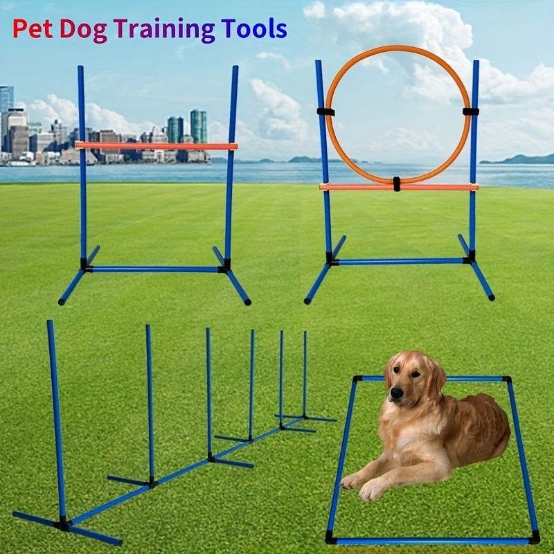 犬アギリティトレーニングセット