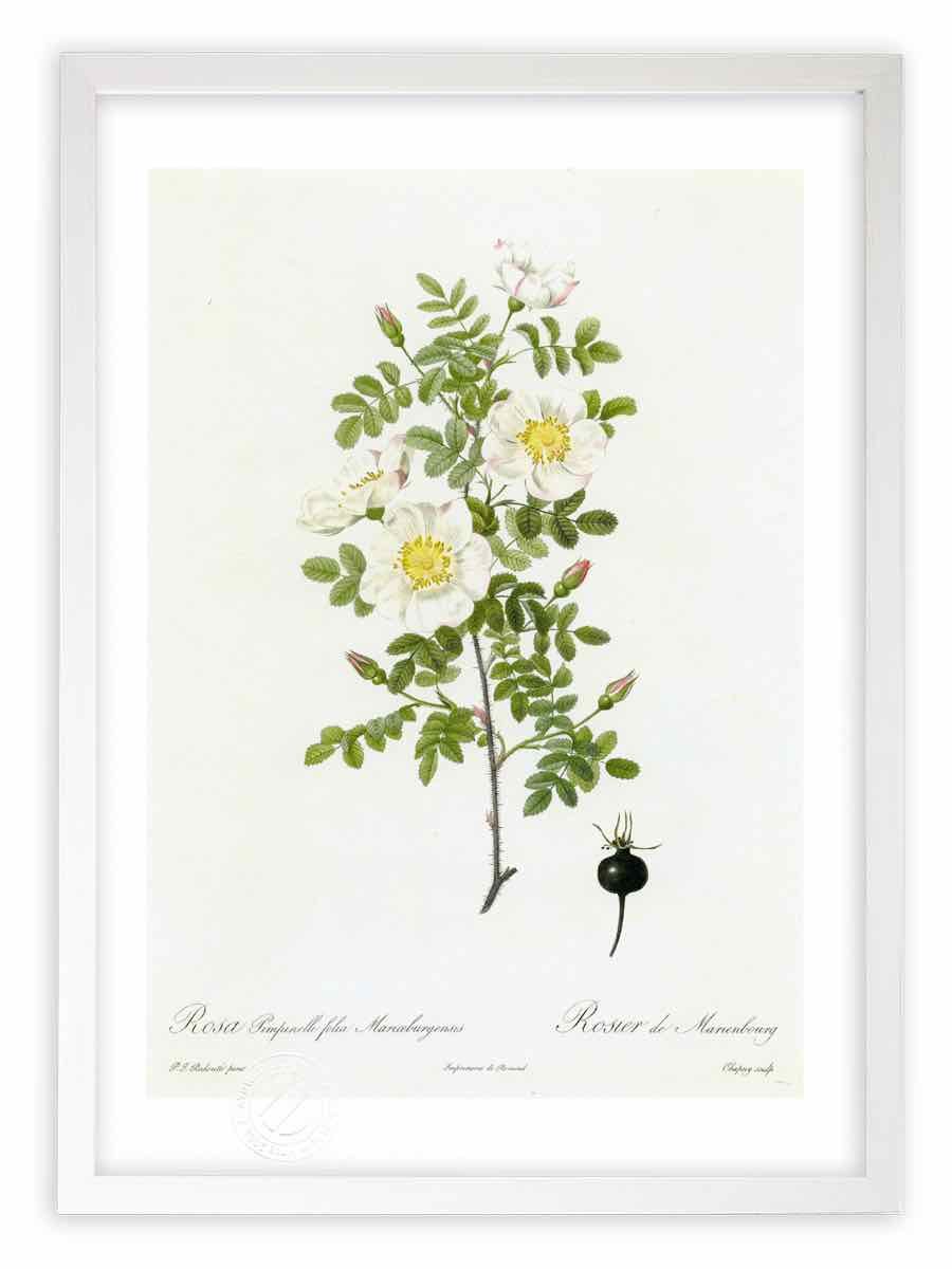 out トライアングルXmasツリー✩⡱ トライアングル・クリスマスツリー