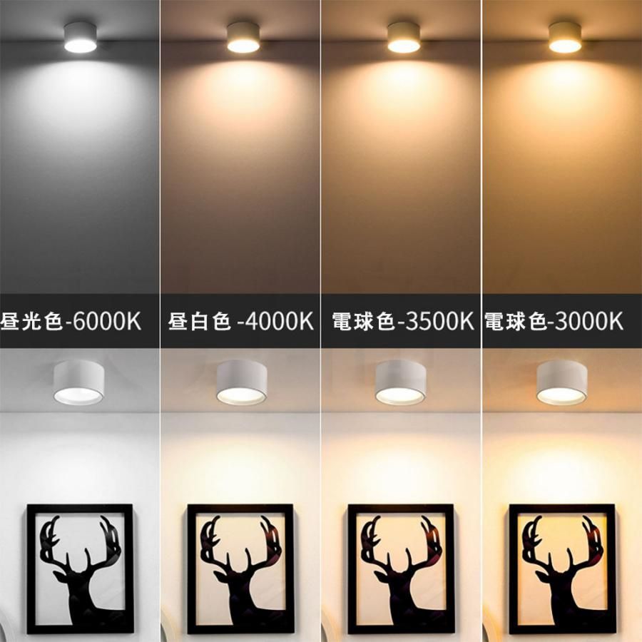 スポットライト LEDスポットライト