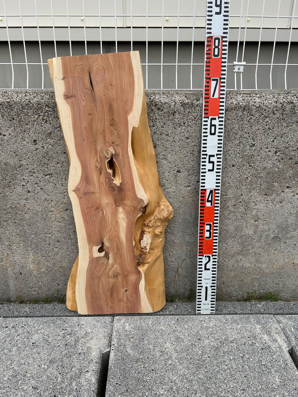 瘤付 】カイヅカイブキ 貝塚伊吹 板 一枚板 テーブル 木工 無垢材 銘木 