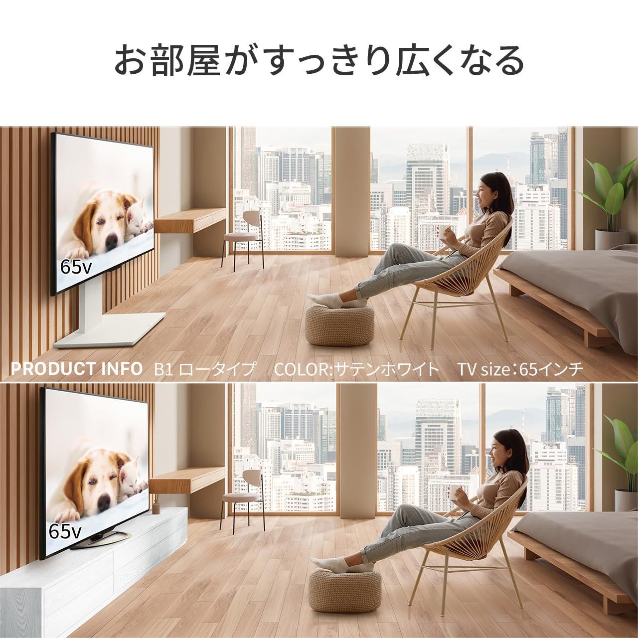 ロータイプ B1