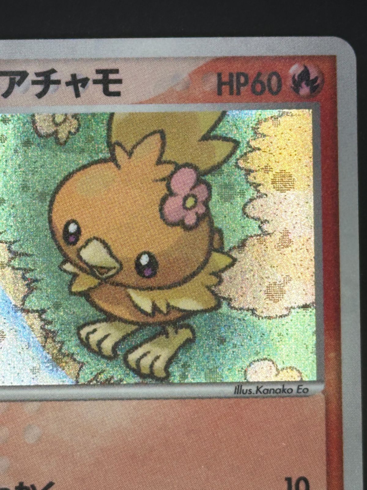ポケパークのアチャモ 002/009（津田沼店在庫） 【公式通販】