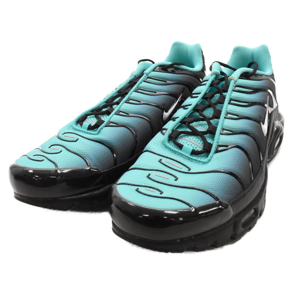 NIKE AIR MAX PLUS LIGHT RETRO US12 30.0cm DM0032 401