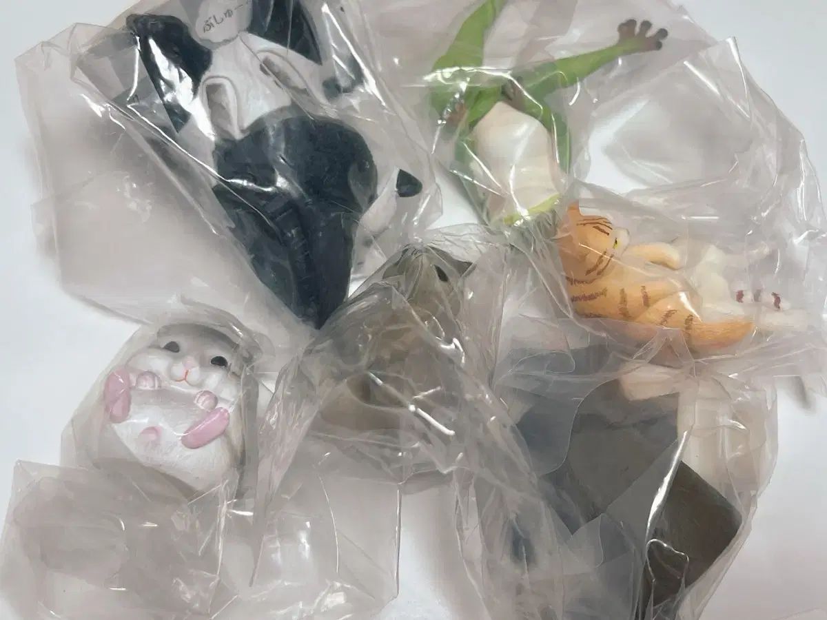 動物 ガチャ