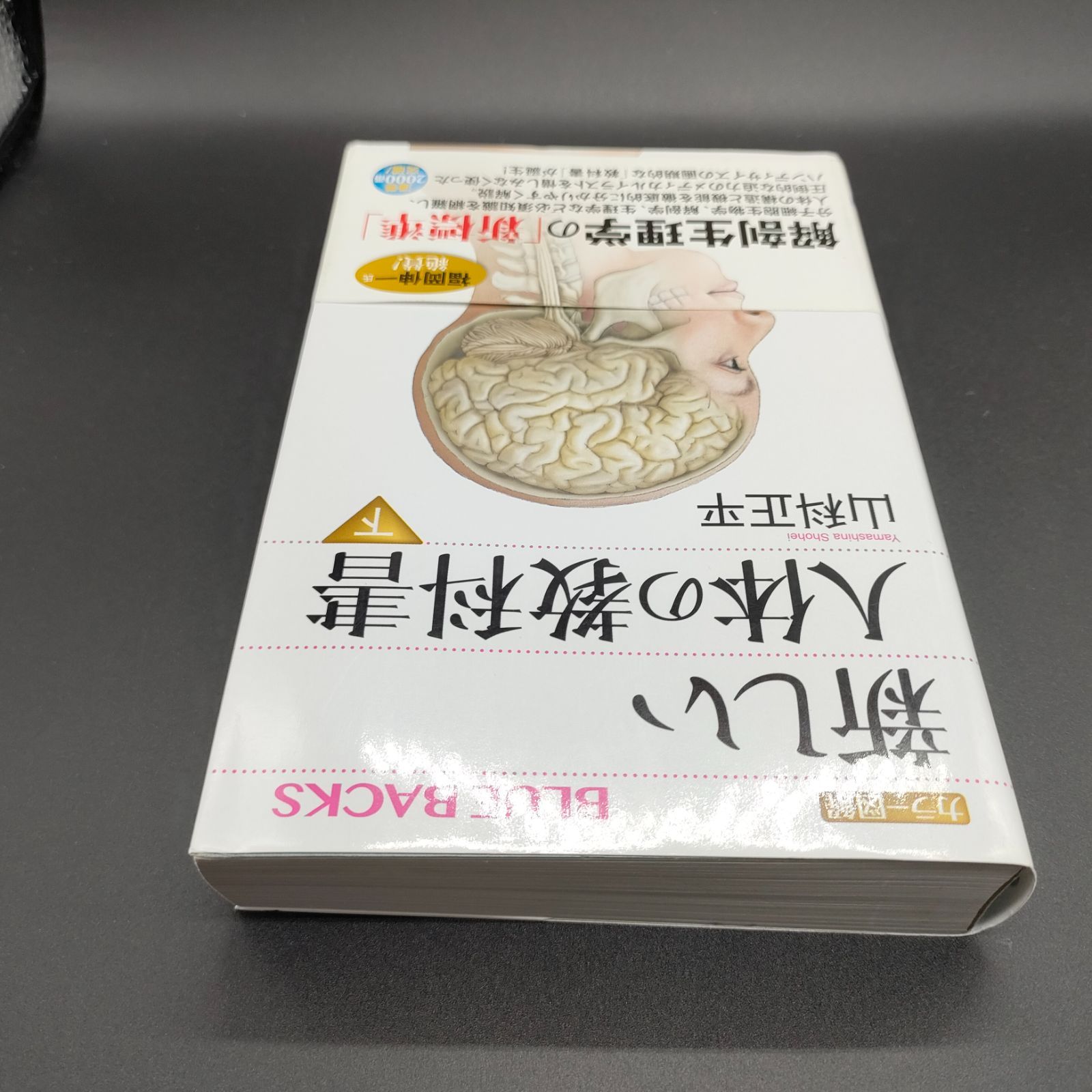 解剖学][生理学] カラー図解 新しい人体の教科書 下 (ブルー