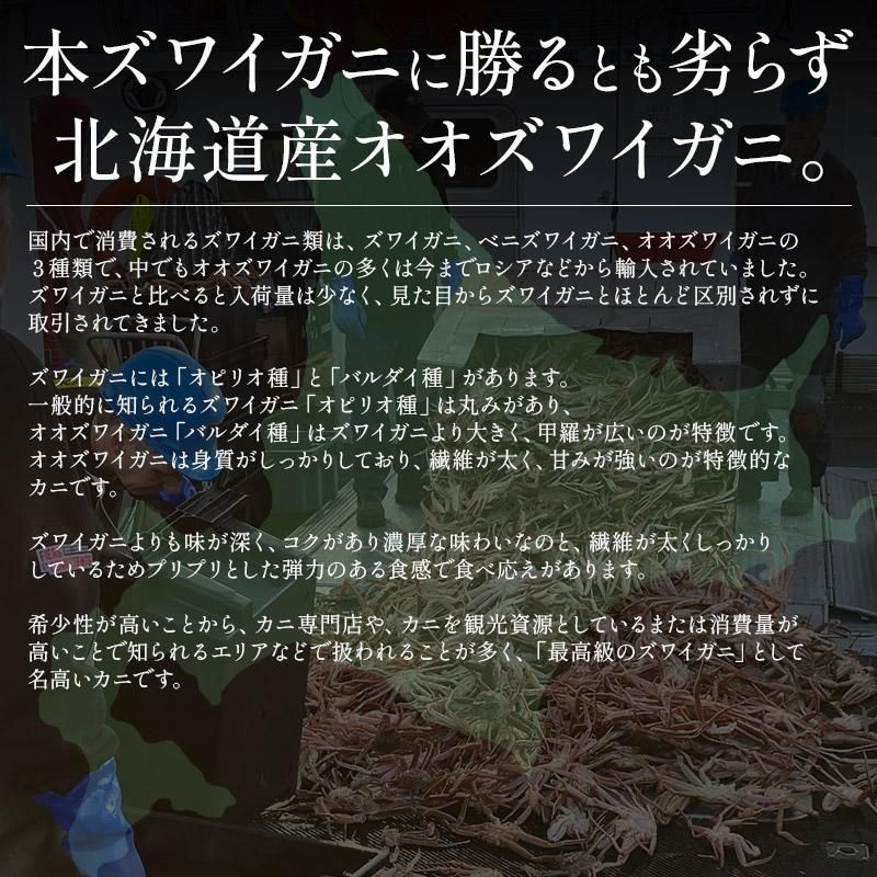 蟹 ズワイガニ