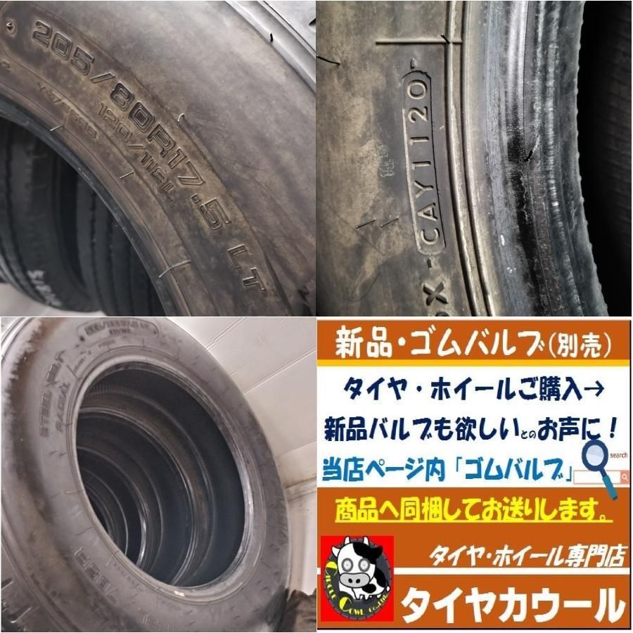 6本