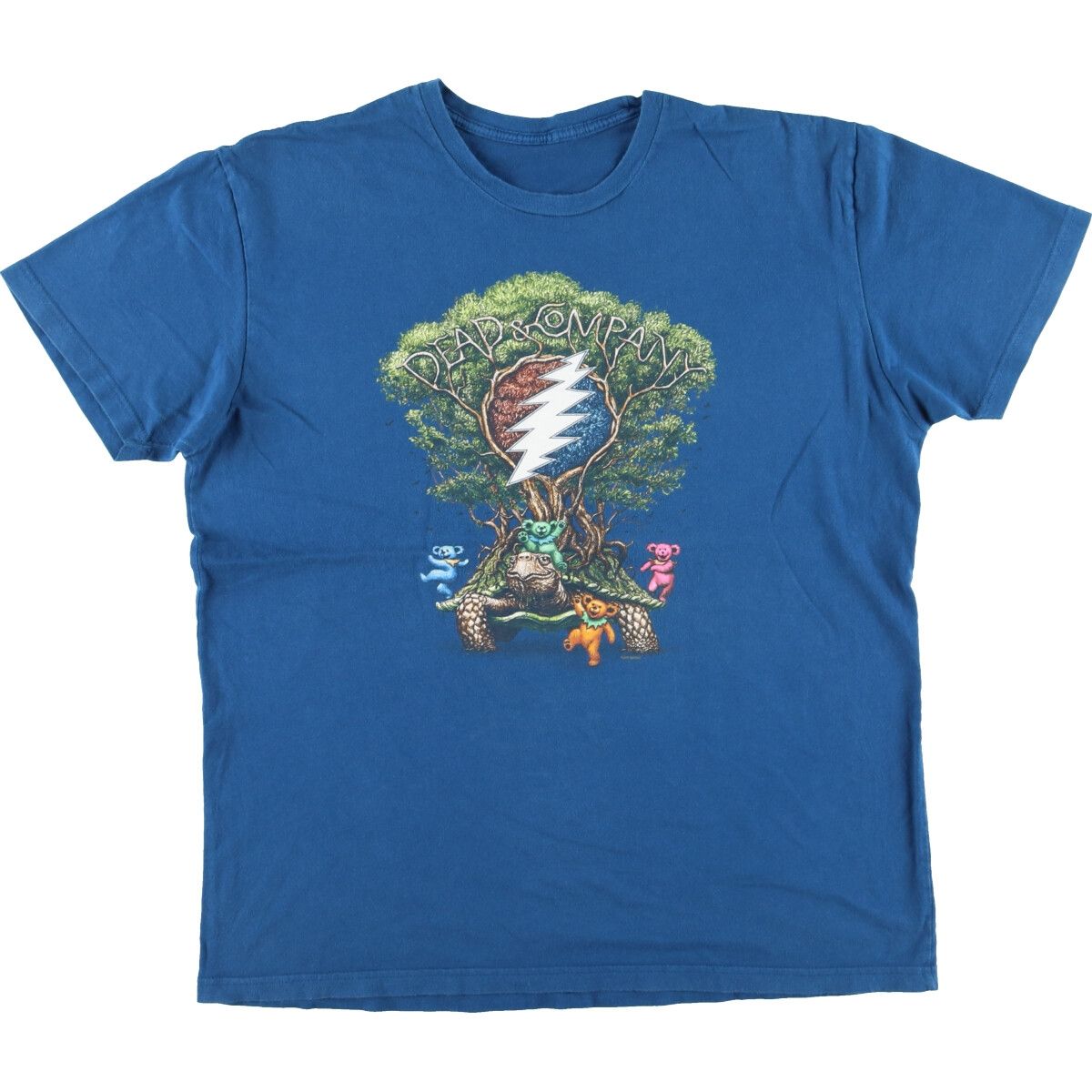 古着 DEAD COMPANY デッド アンド カンパニー バンドTシャツ バンT メンズL/eaa436872