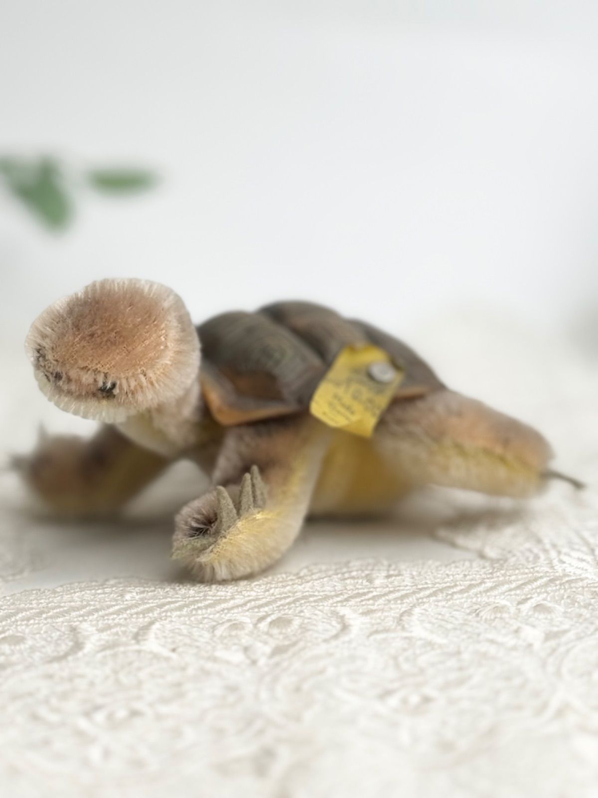 Steiff - シュタイフ★Slo Turtle 10cm ID完品★カメのソロ/タートル/亀 送料無料☆シュタイフ☆Slo Turtle 10cm オールID's完品☆カメの