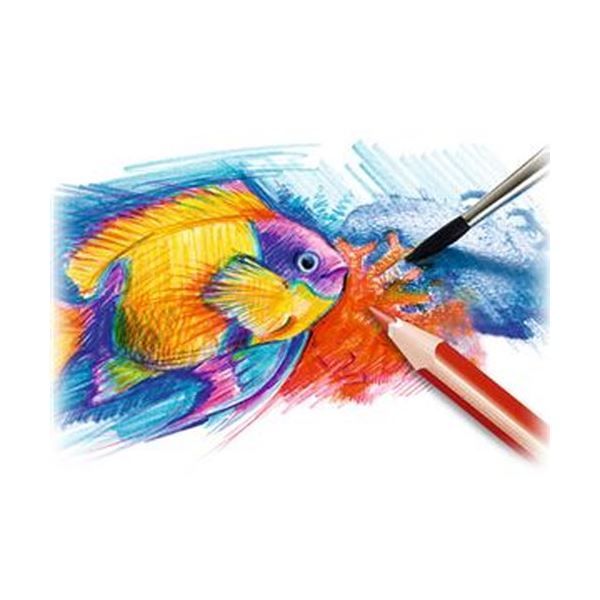  まとめ ステッドラー ノリスクラブ 水彩色鉛筆 セット × その他 シャープペンシル