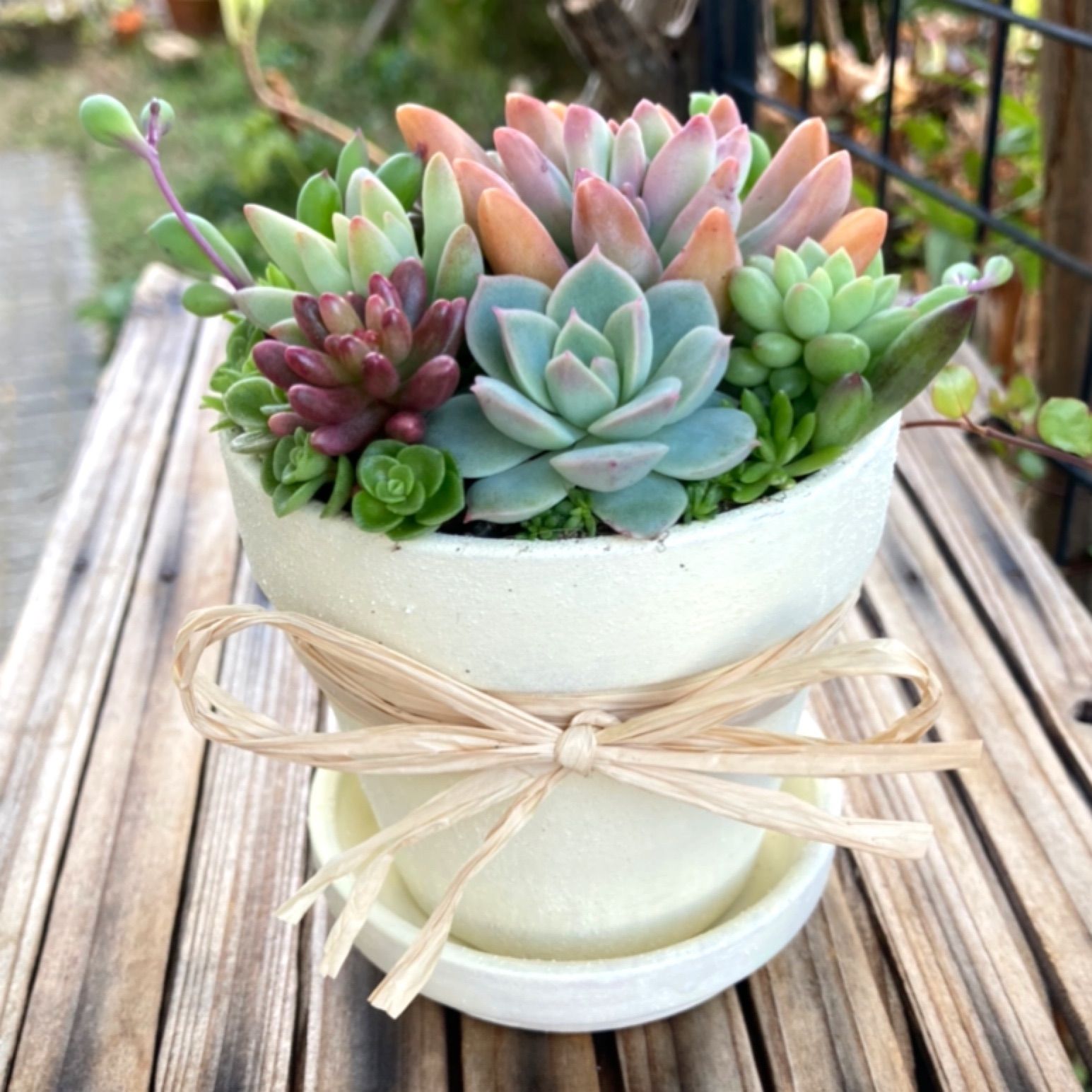 素焼き鉢リメイク 多肉植物寄せ植え - メルカリ