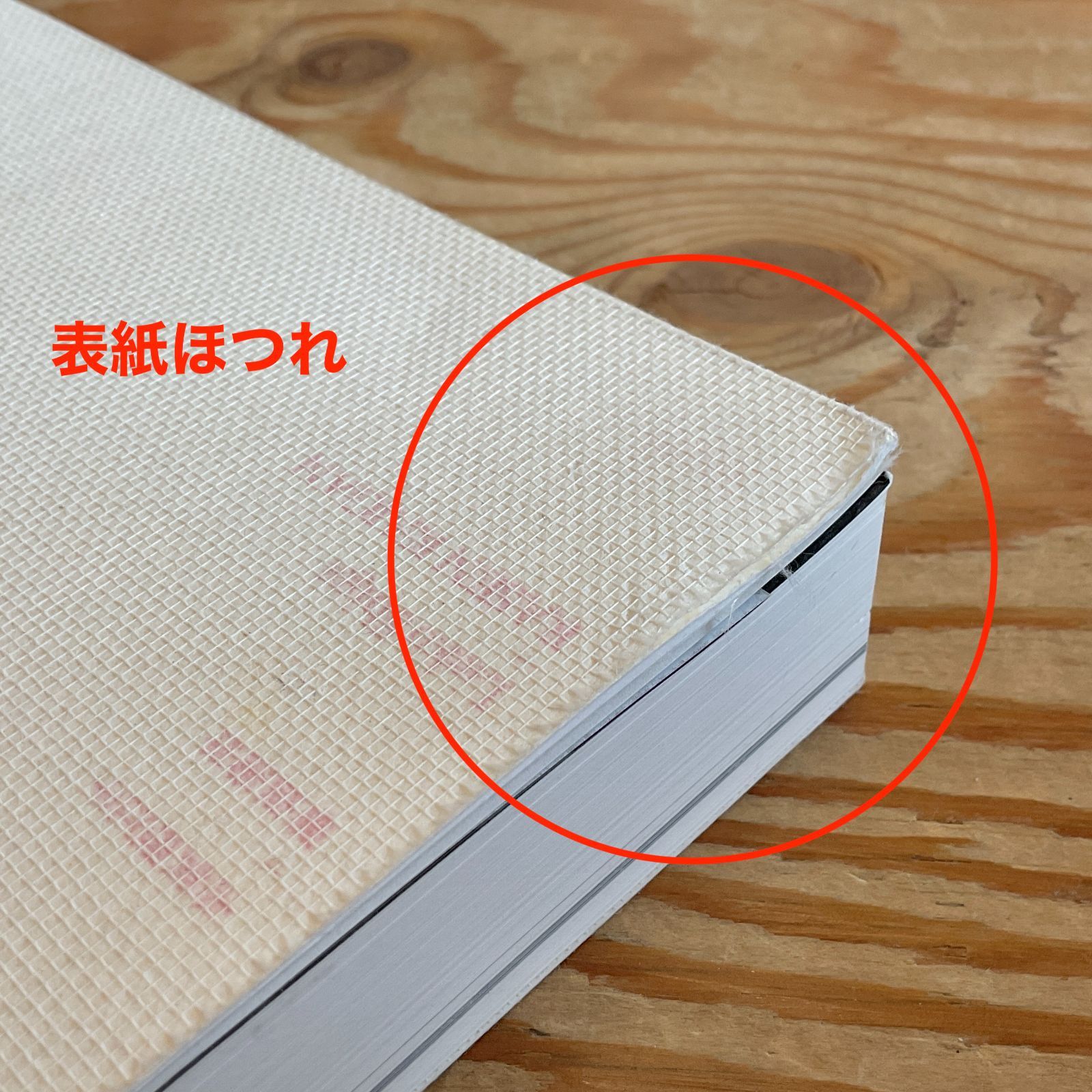螺旋海岸 志賀理江子 | notebook - ⁄ Lieko album ⁄ 赤々舎 RASEN 