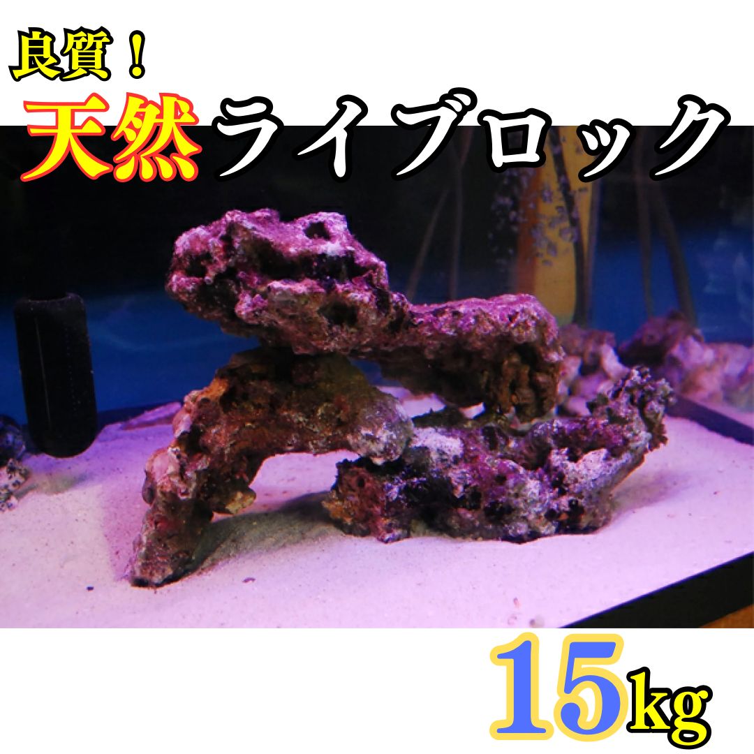 良質 天然 ライブロック 15kg (量り売り) サンゴ ※地域限定販売
