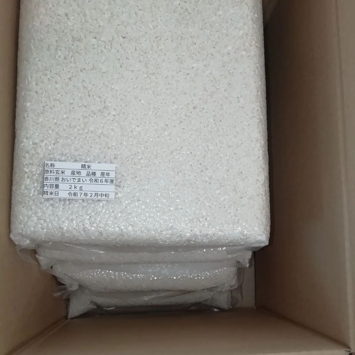 令和6年香川県産　新米コシヒカリ 米 8kg 令和6年 香川県産 令和6年香川県産