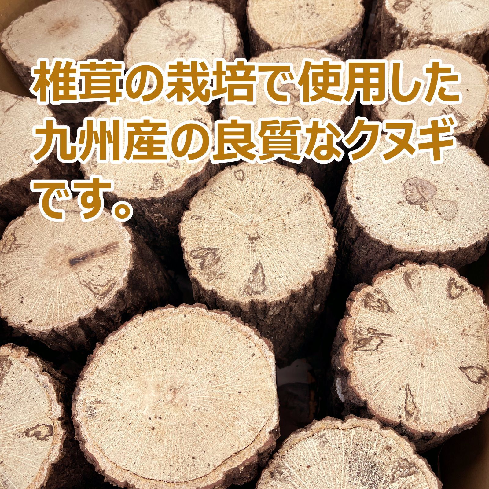 のサムネイル