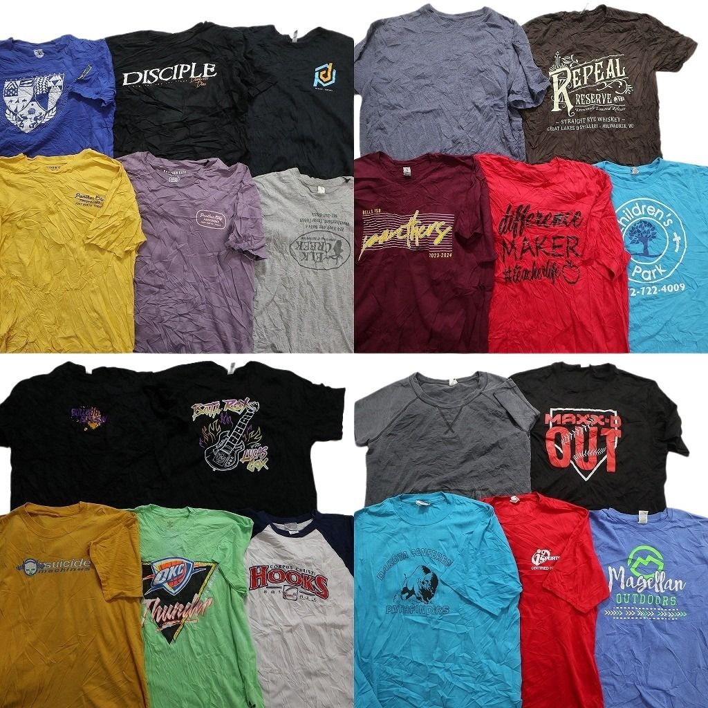 古着卸 まとめ売り カラーmix プリント 半袖Tシャツ 21枚セット (メンズ XL ) ワンポイントロゴ カレッジ系 ラグラン MT7180