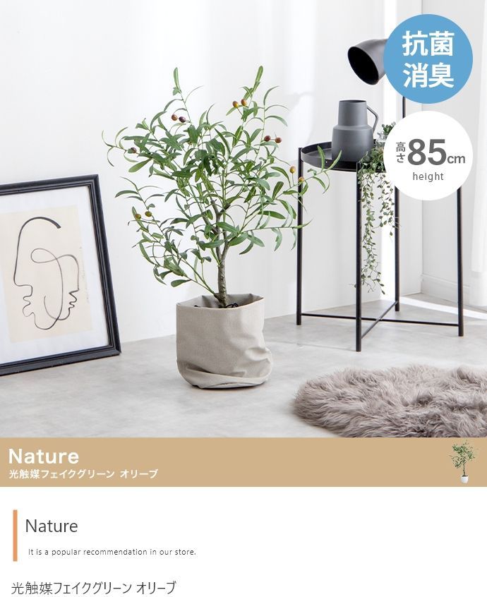 高さ85cm】Nature 光触媒人工観葉植物 オリーブ 【公式通販】