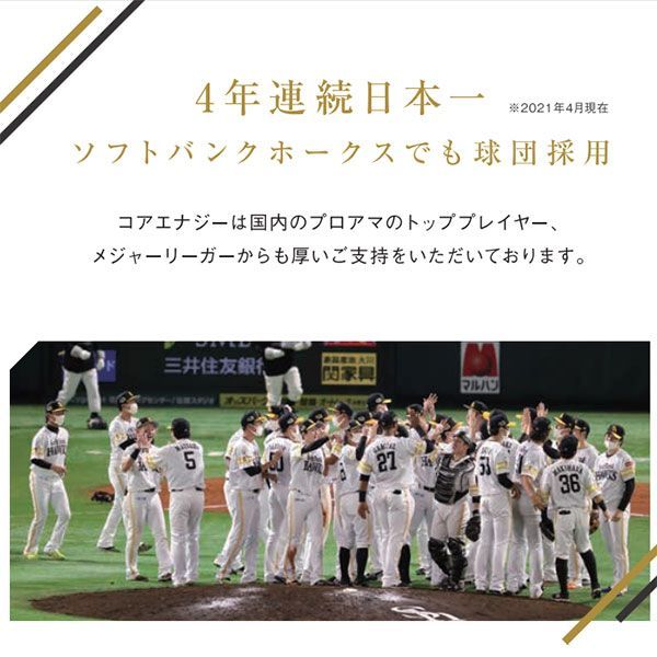審判用ベルト
