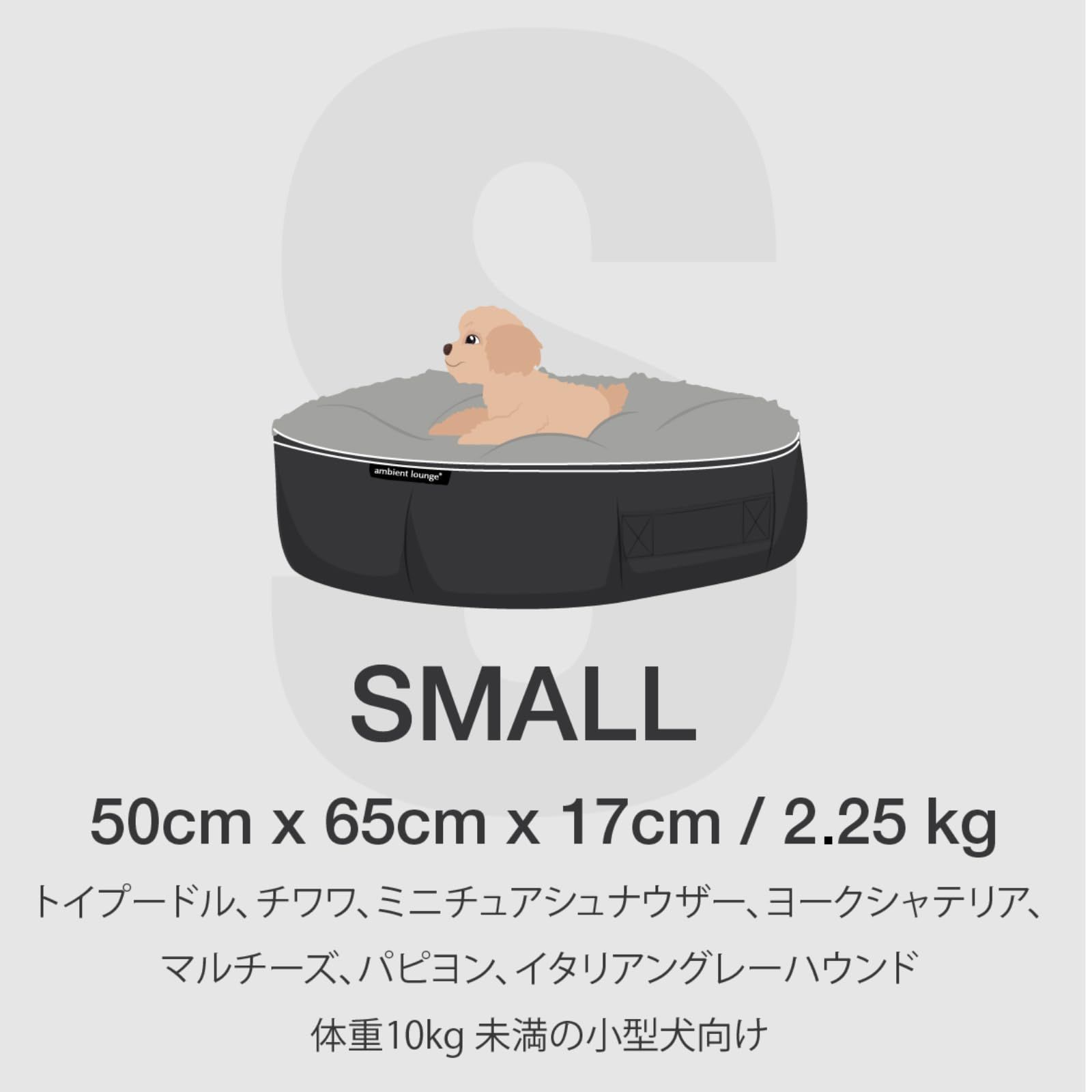 猫 amazon