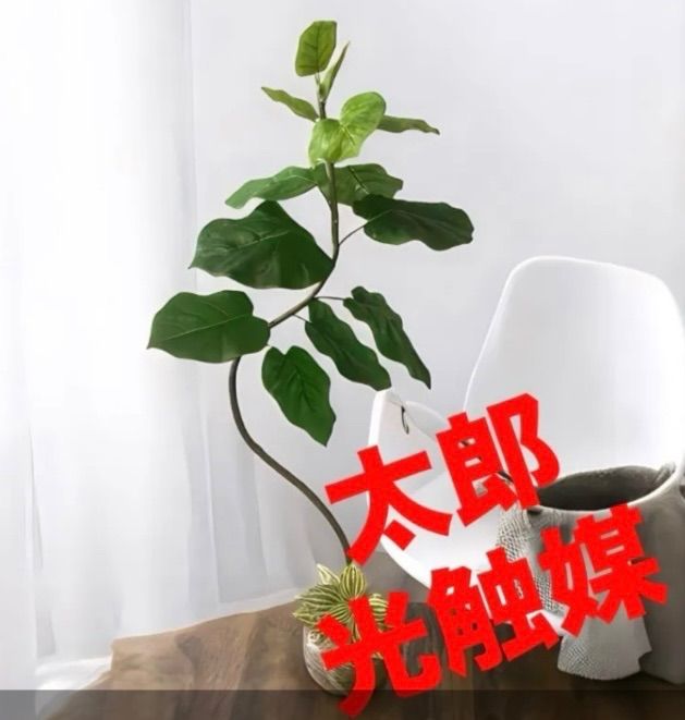 光触媒 人工観葉植物 ウォールグリーン フェイク ウンベラータ 光触媒 人工観葉植物 ウォールグリーン フェイク ウンベラータ