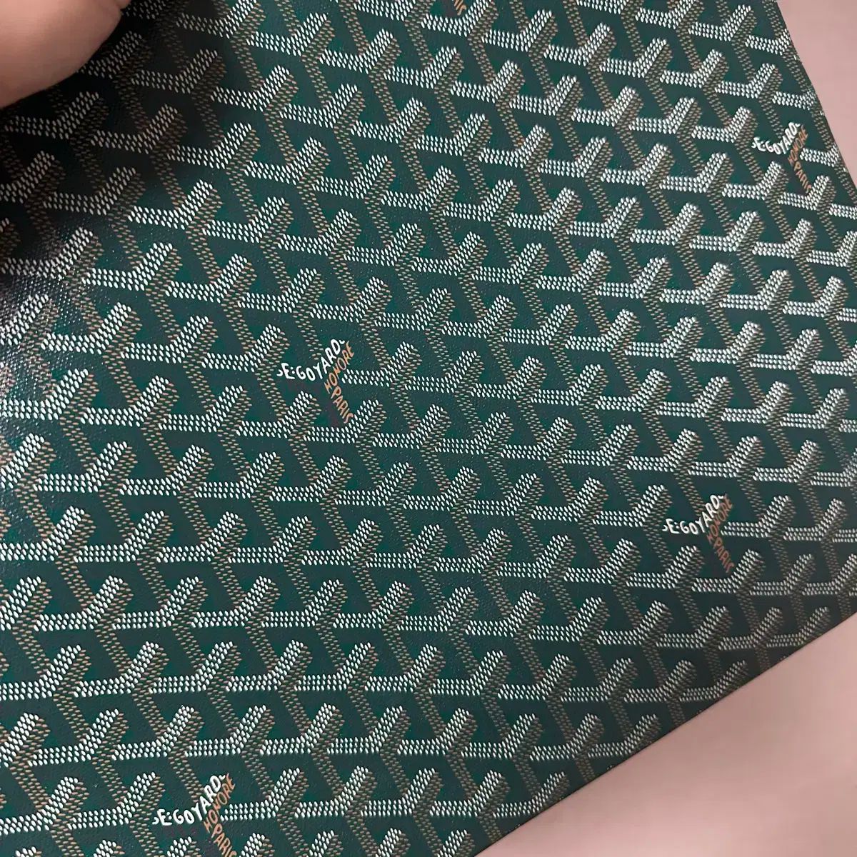 TJ.BRAND ナポレオンフィッシュ 147 TJ BRAND ナポレオンフィッシュ