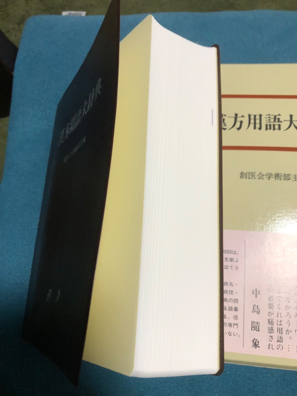 漢方◐東洋医学◐鍼灸】漢方用語大辞典 創医会学術部 - 健康/医学