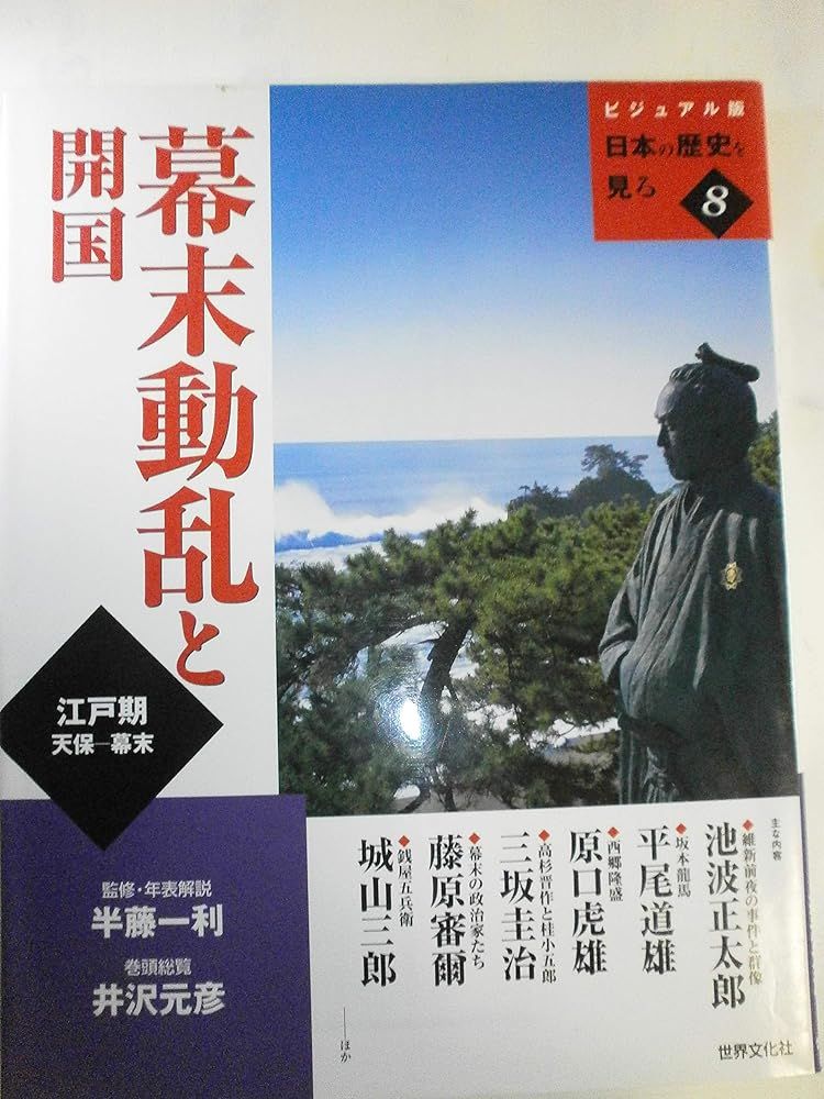 日本の歴史を見る 8 ビジュアル版 - メルカリ